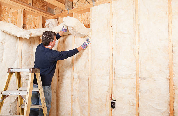 Best Insulation Air Sealing  in Dysart, IA